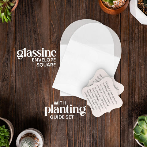 Seed Bloom memorial gift packaging, convenient for funerals and celebrations of life.