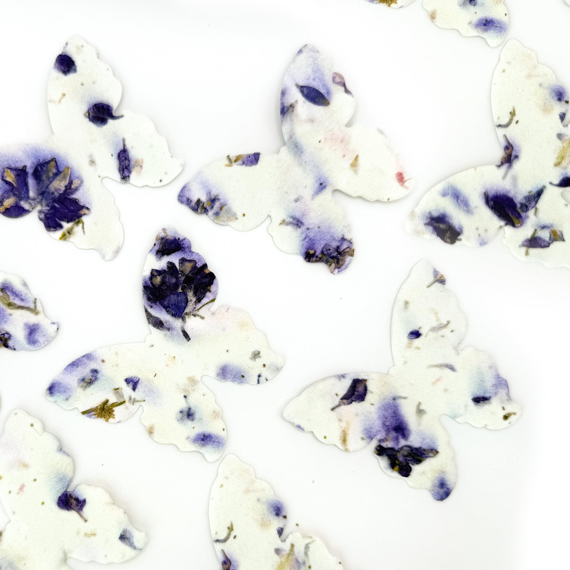 Seed Bloom Mothers Day gift featuring purple butterfly seed paper.