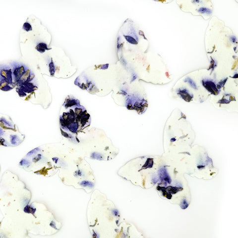 Seed Bloom Mothers Day gift featuring purple butterfly seed paper.