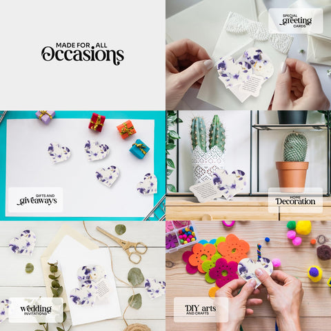 Seed Bloom packaging and display for elegant, eco-friendly gifts.