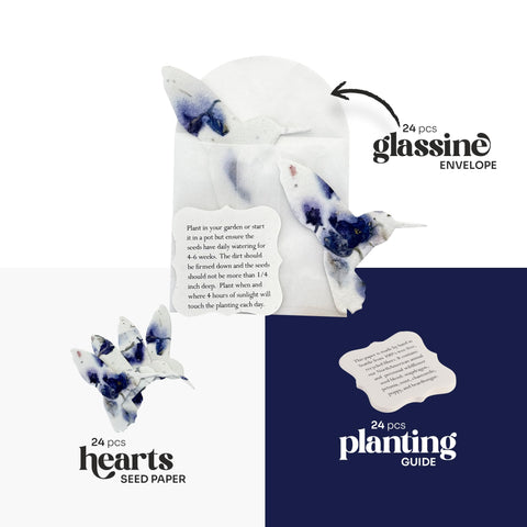 Seed Bloom planting guides 24-pack help gardeners start wildflowers with confidence.