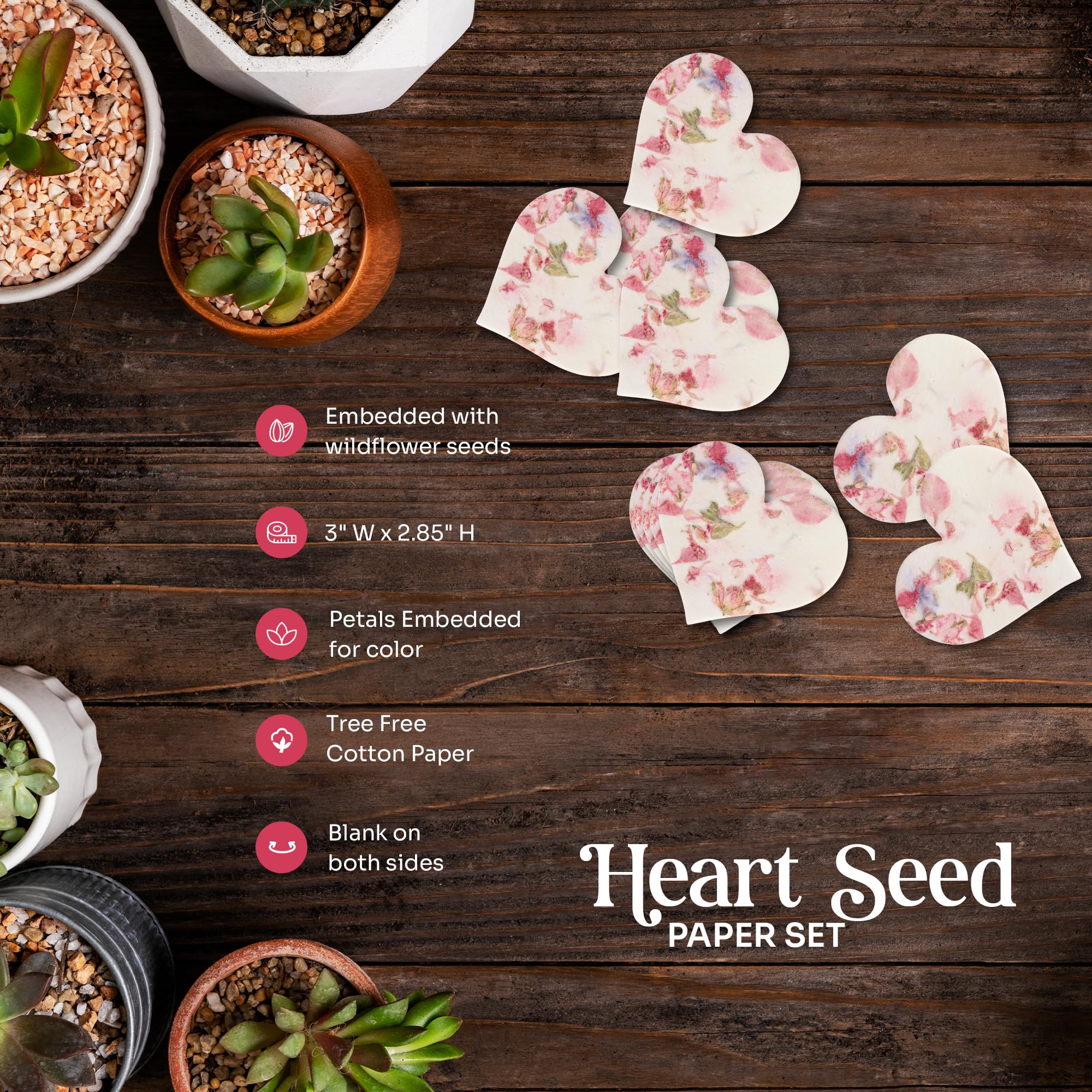 Seed Bloom planting instruction cards guiding easy garden growth.