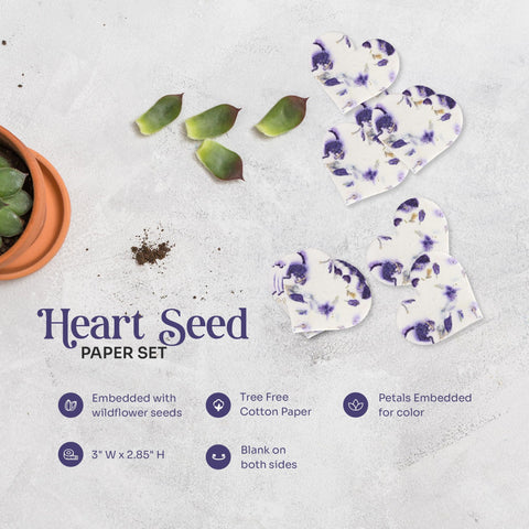 Seed Bloom planting instruction cards guiding easy growing at home.