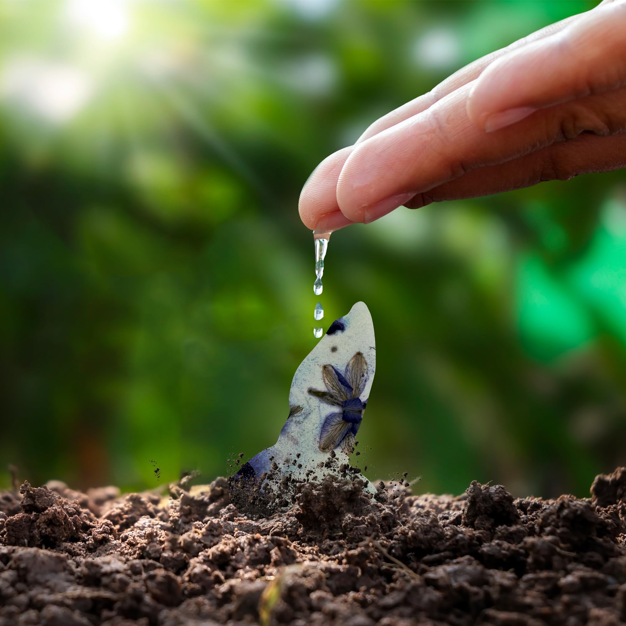 Seed Bloom growth tips for USDA zones 3–9, guiding future blooms.