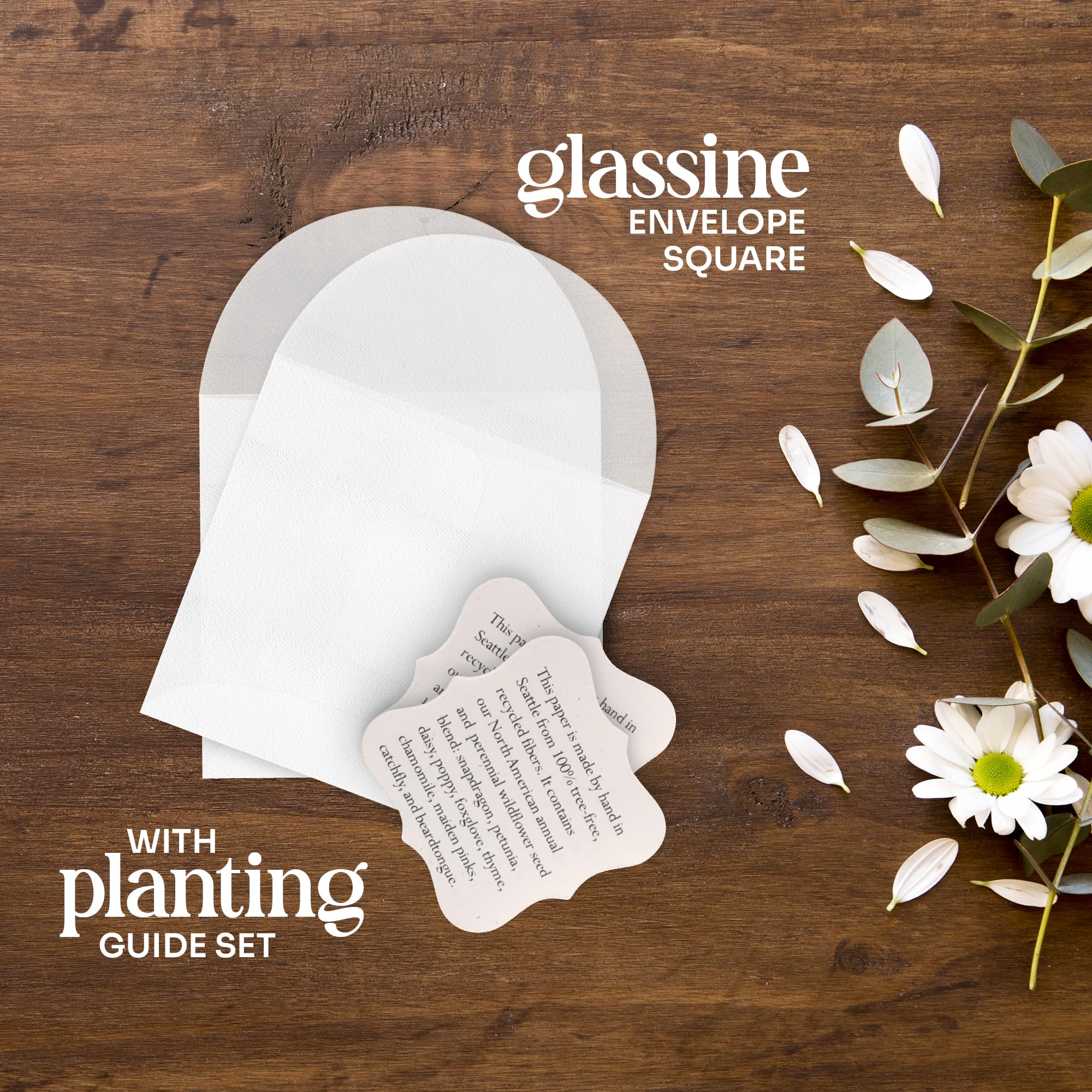 Seed Bloom wedding favor set for elegant, eco-friendly celebrations.