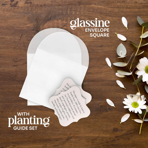 Seed Bloom wedding favor set for elegant, eco-friendly celebrations.