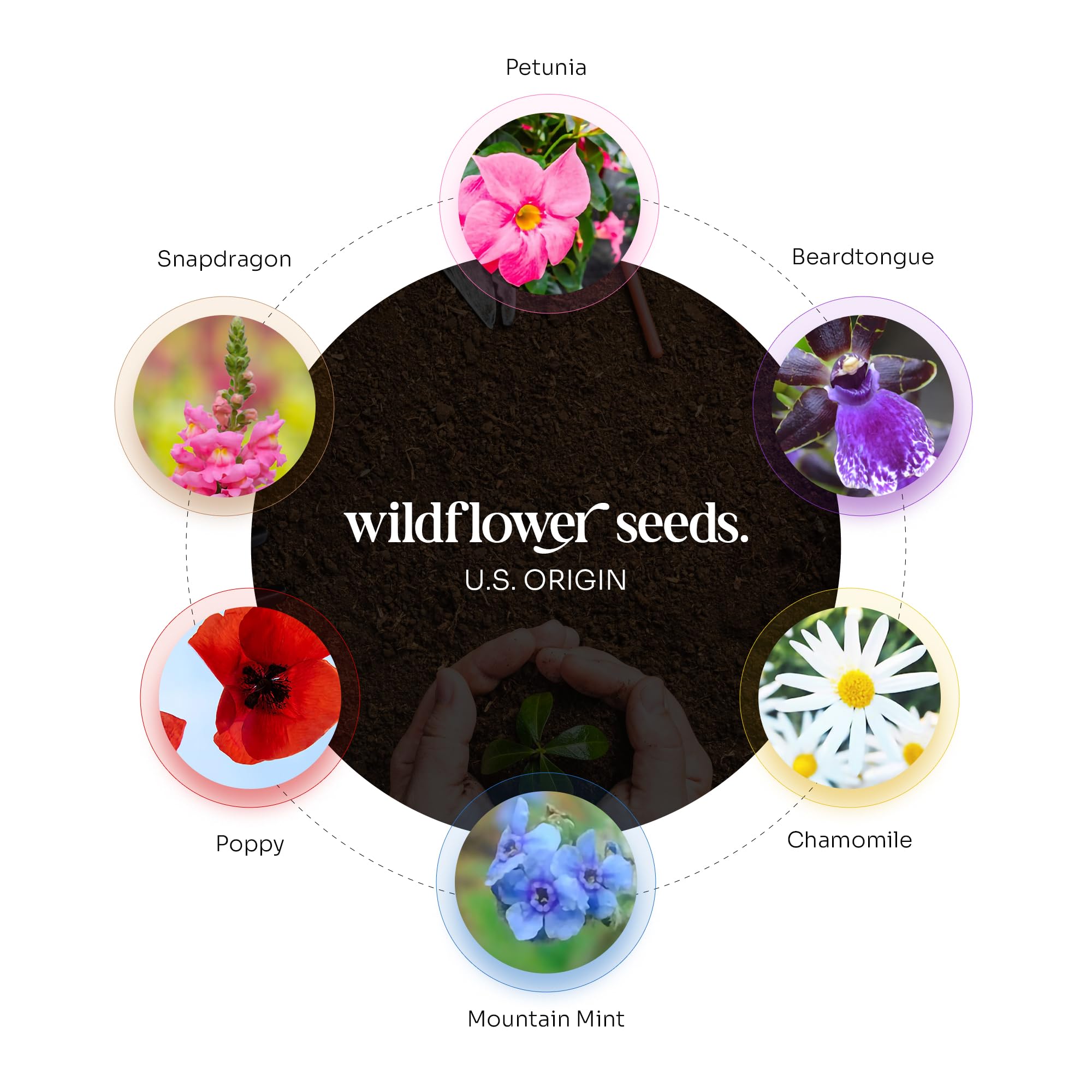 Seed Bloom seed paper blooms into wildflowers as a heartwarming result.