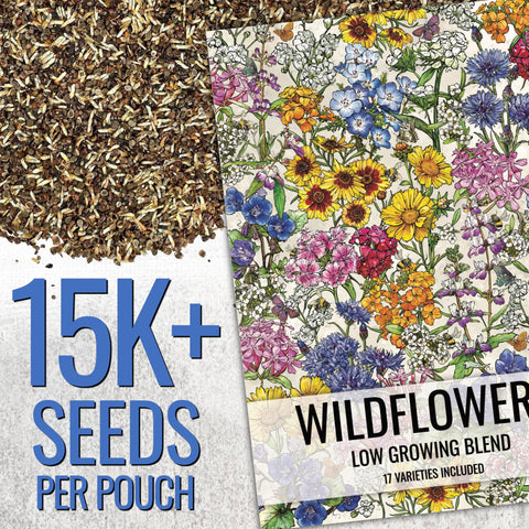 Seed Needs 17-varieties wildflower mix image highlights diverse blooms for a cheerful garden.
