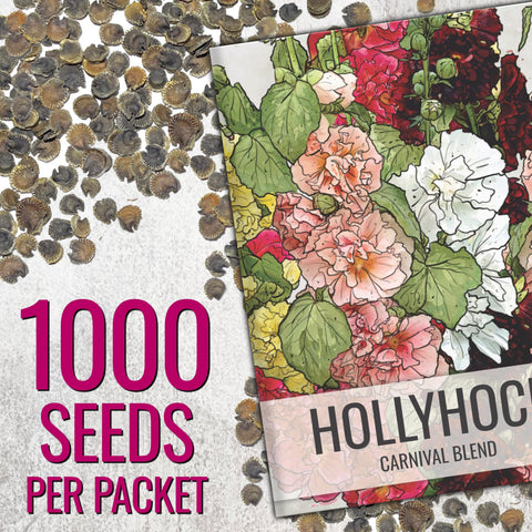 Seed Needs Alcea rosea Carnival mix grows up to 72 inches tall for fence lines.