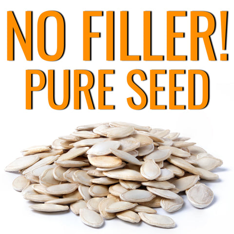 Seed Needs all-purpose pumpkin—decorative and culinary uses for fall