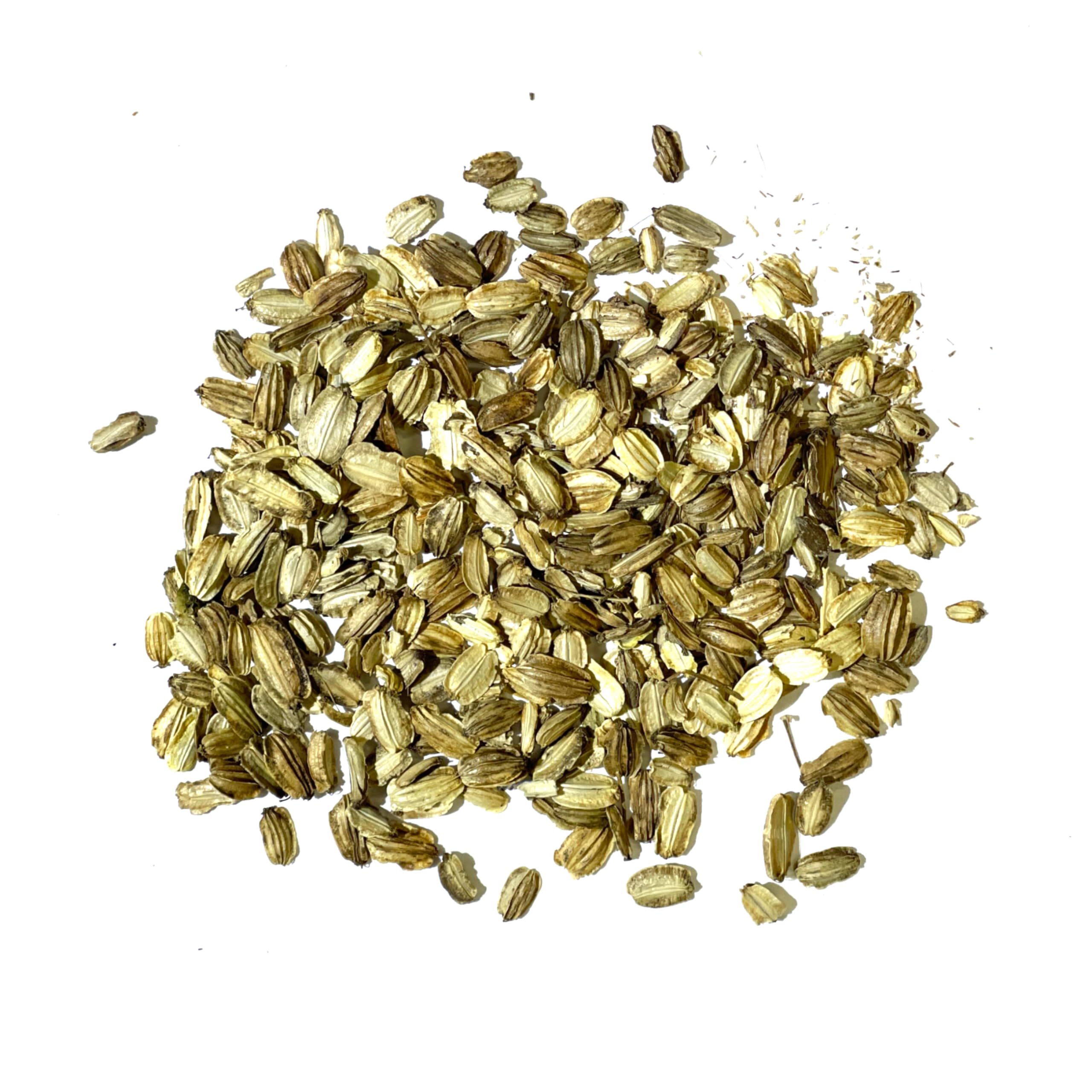 Seed Needs Angelica seeds culinary uses image hints at flavor potential.