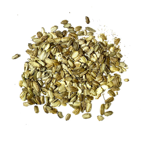 Seed Needs Angelica seeds culinary uses image hints at flavor potential.