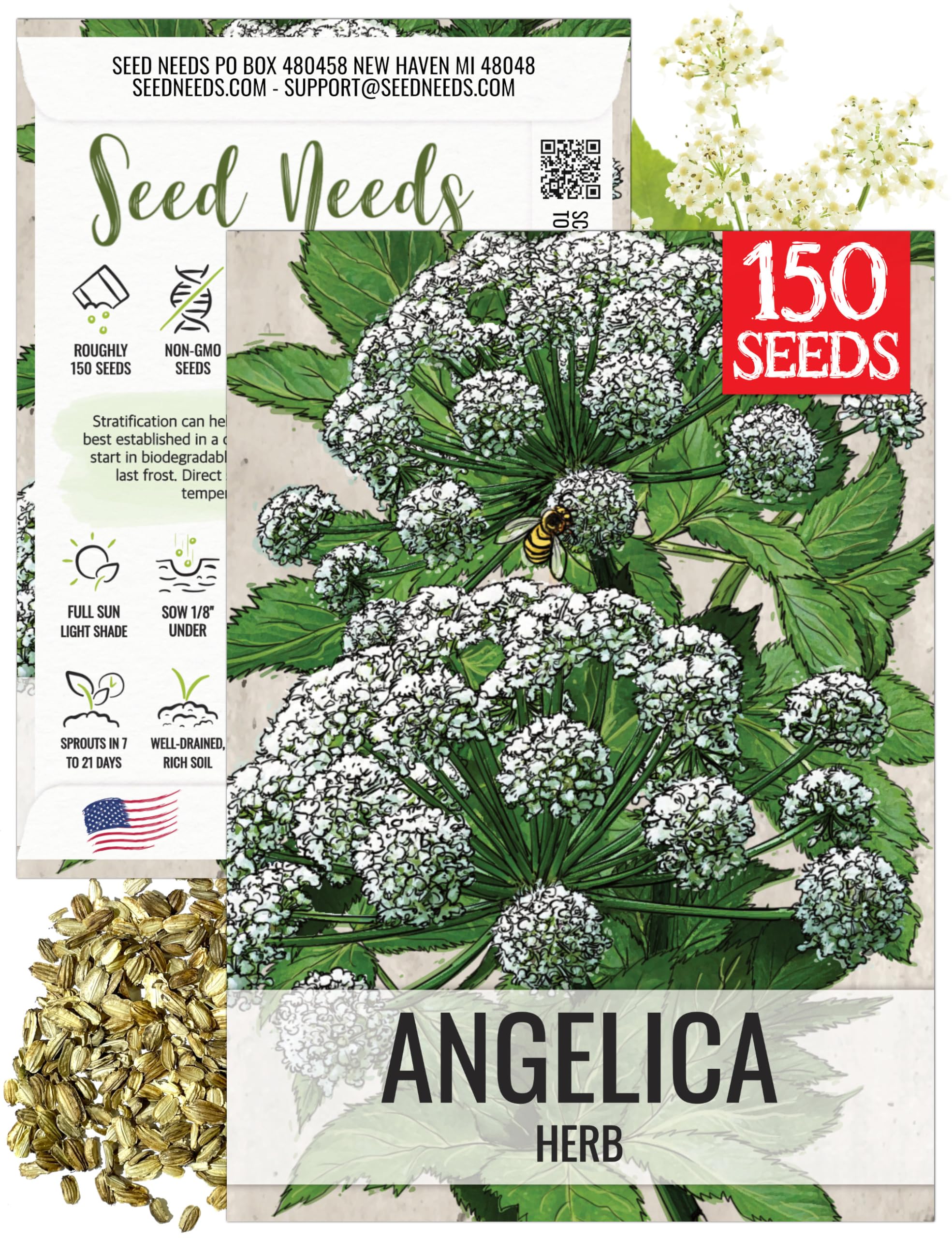 Seed Needs Angelica seeds packaging with sowing tips for easy planting.