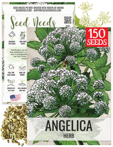 Seed Needs Angelica seeds packaging with sowing tips for easy planting.