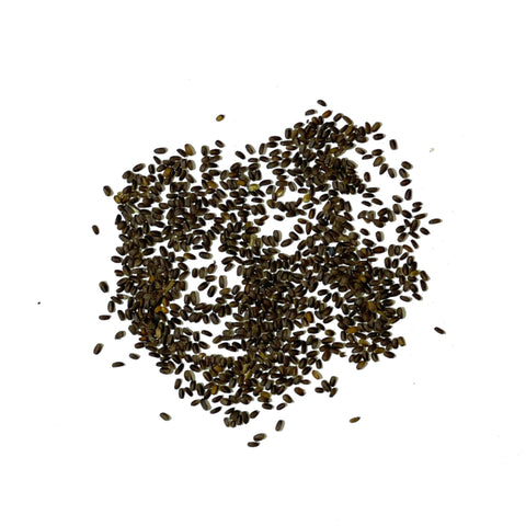 Seed Needs Anise Hyssop bees on flowers, supports pollinators in summer.