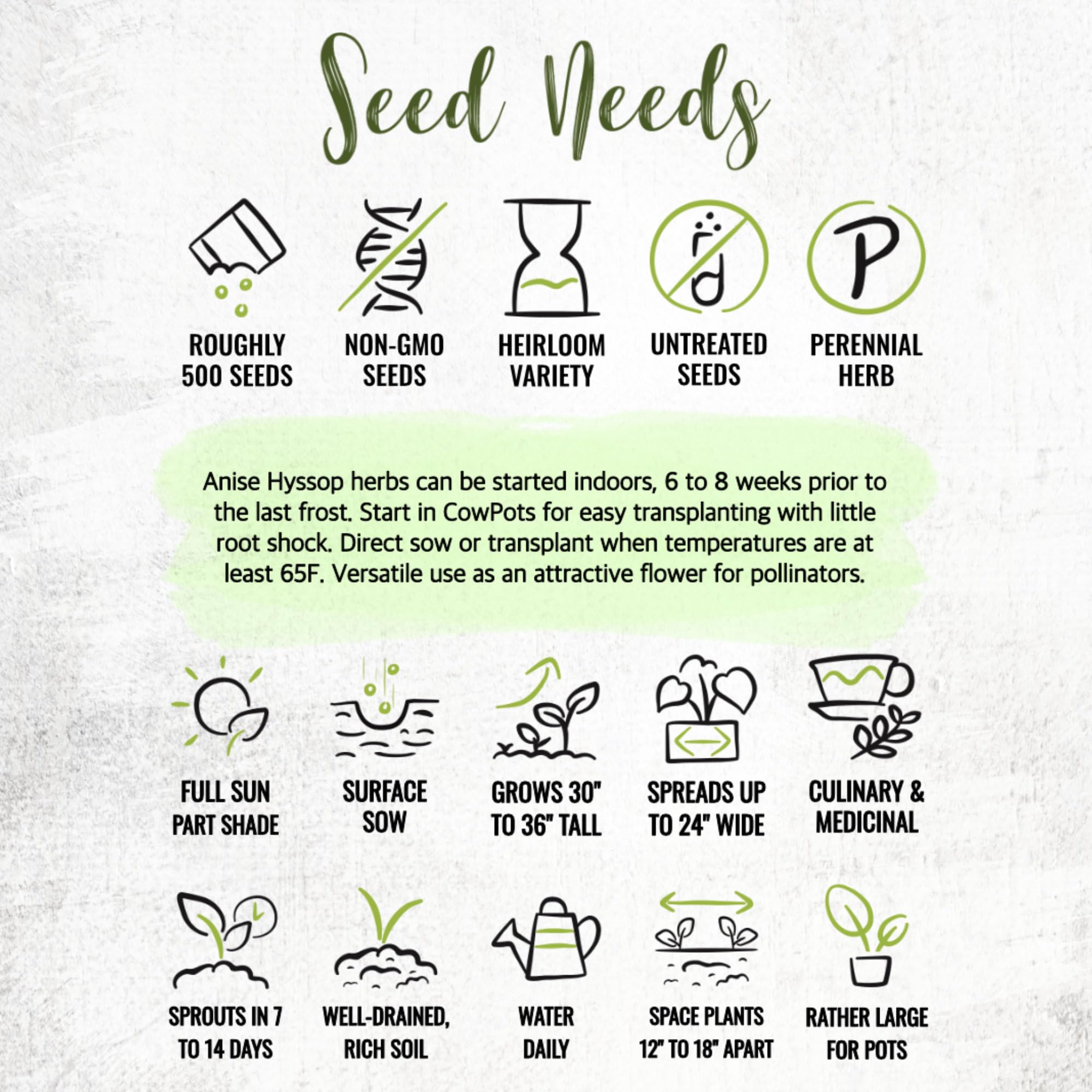 Seed Needs Anise Hyssop herb garden ideas, grow for tea and seasoning.