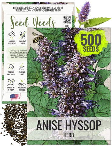 Seed Needs Anise Hyssop seeds packet for a fresh herb garden and easy sowing.