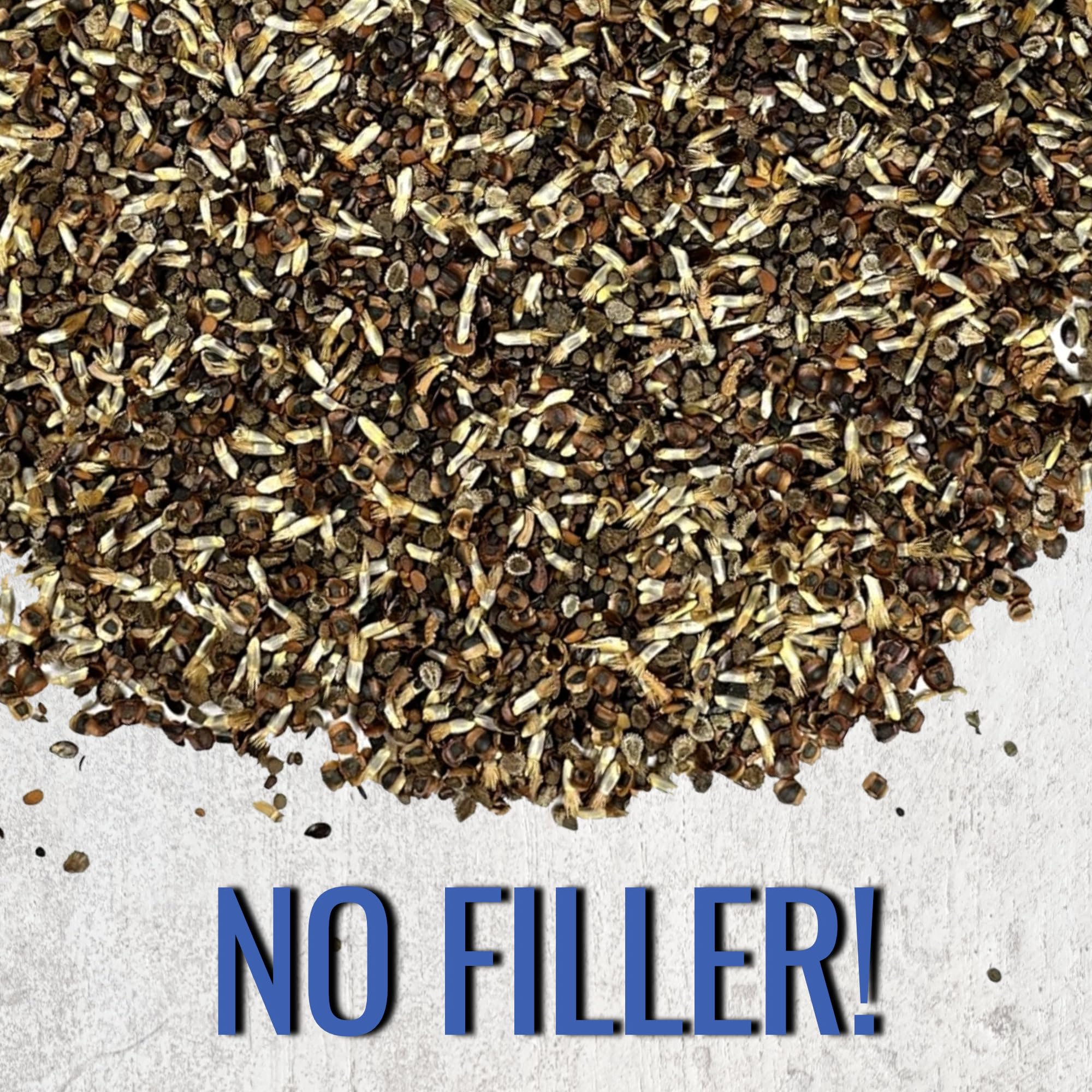 Seed Needs 17-variety mix supports both annual and perennial blooms