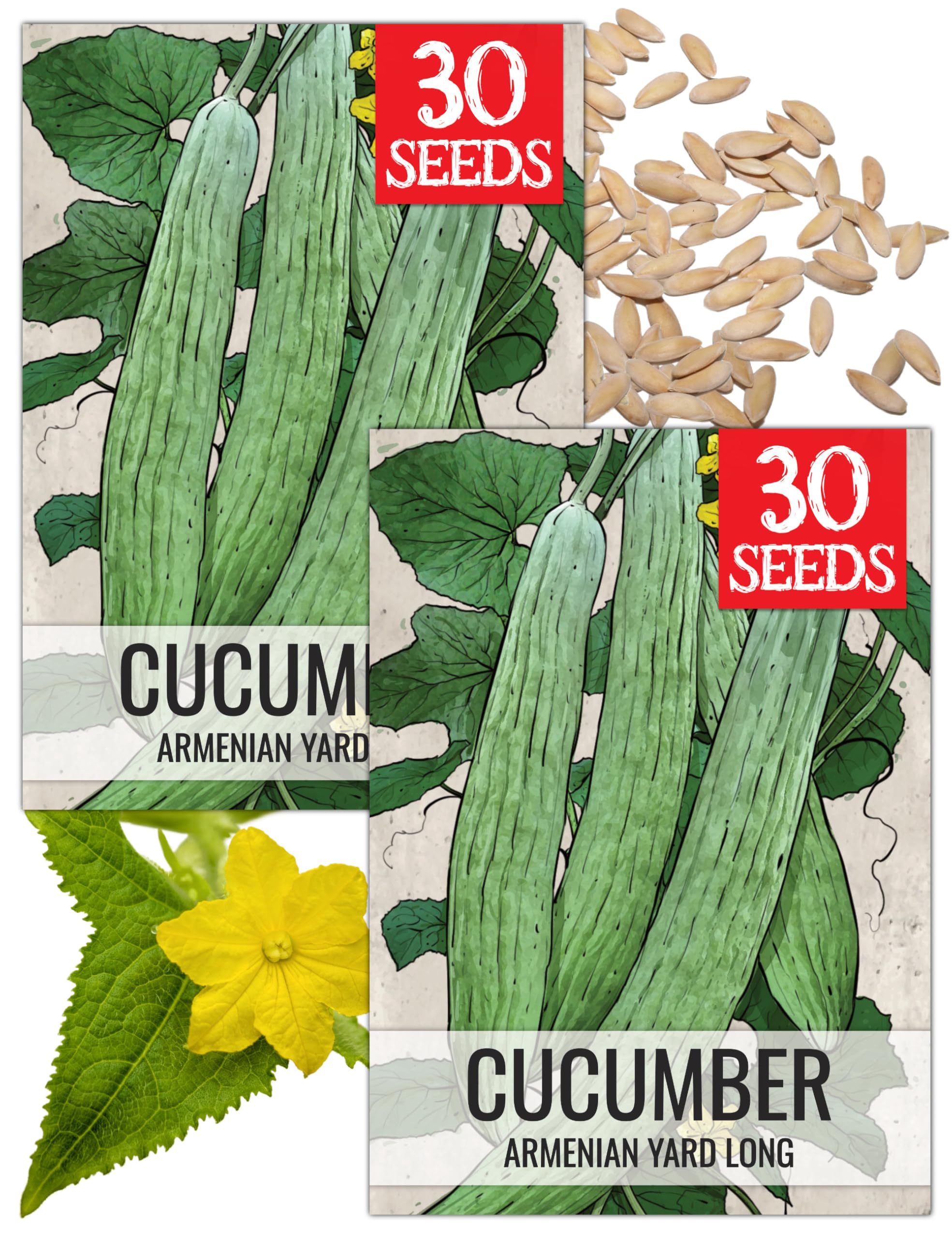 Seed Needs Armenian Yard Long Cucumber seed packet front with sowing guide