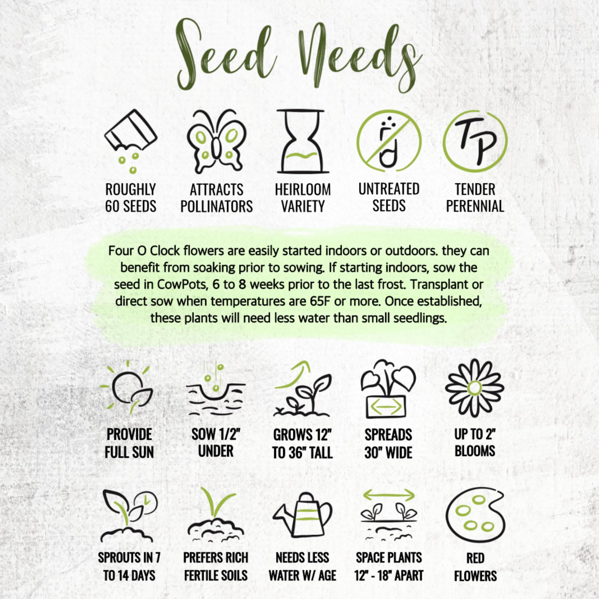 Seed Needs artful seed packet design adds charm to collection.