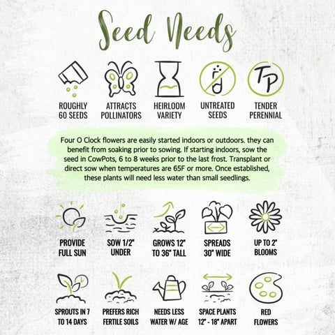 Seed Needs artful seed packet design adds charm to collection.