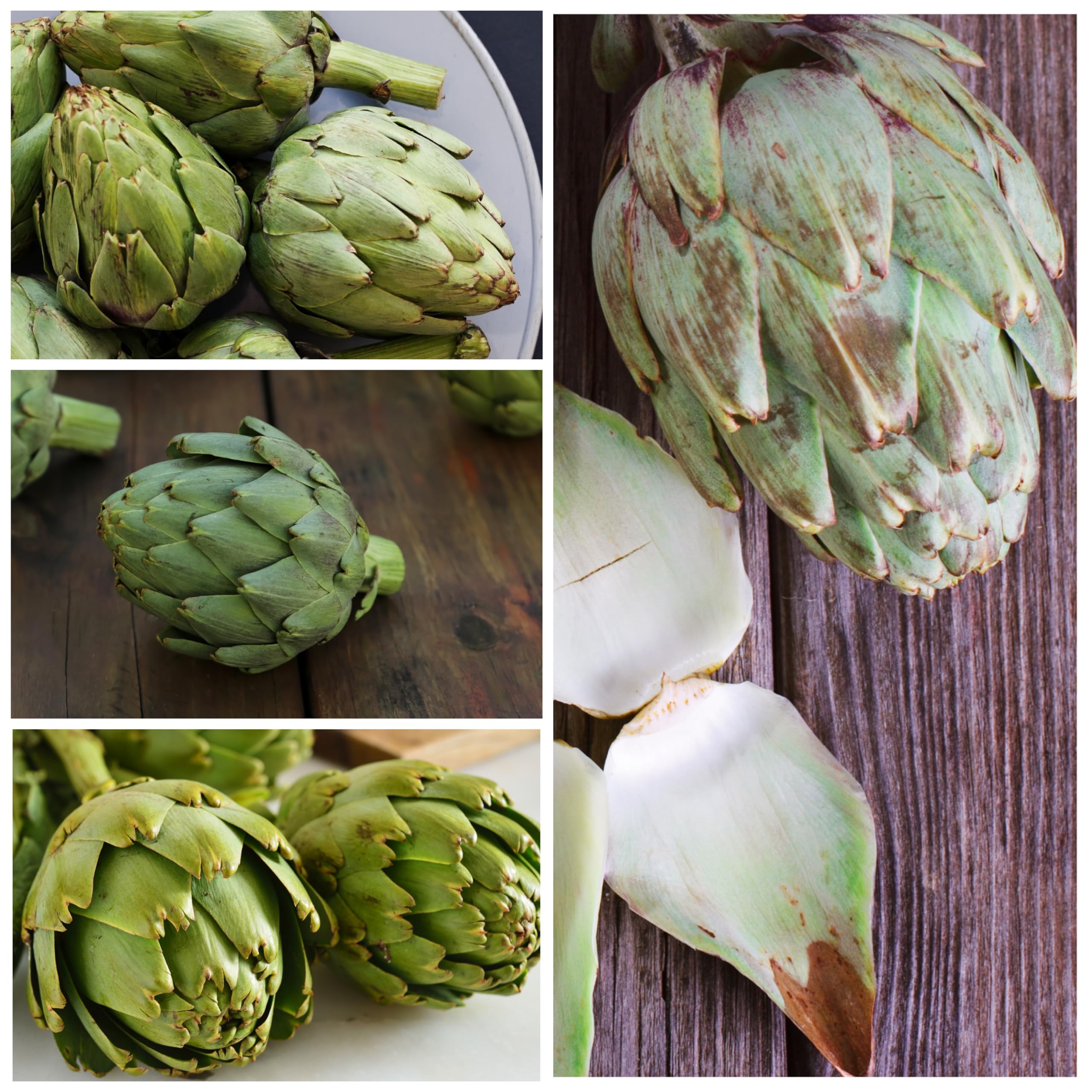 Seed Needs sunlit-garden bed invites growing artichokes under full sun for healthy foliage.