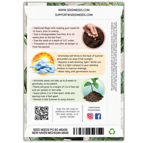 Seed Needs seed-sowing action shows gardeners starting a resilient, open-pollinated artichoke for flavorful yields.
