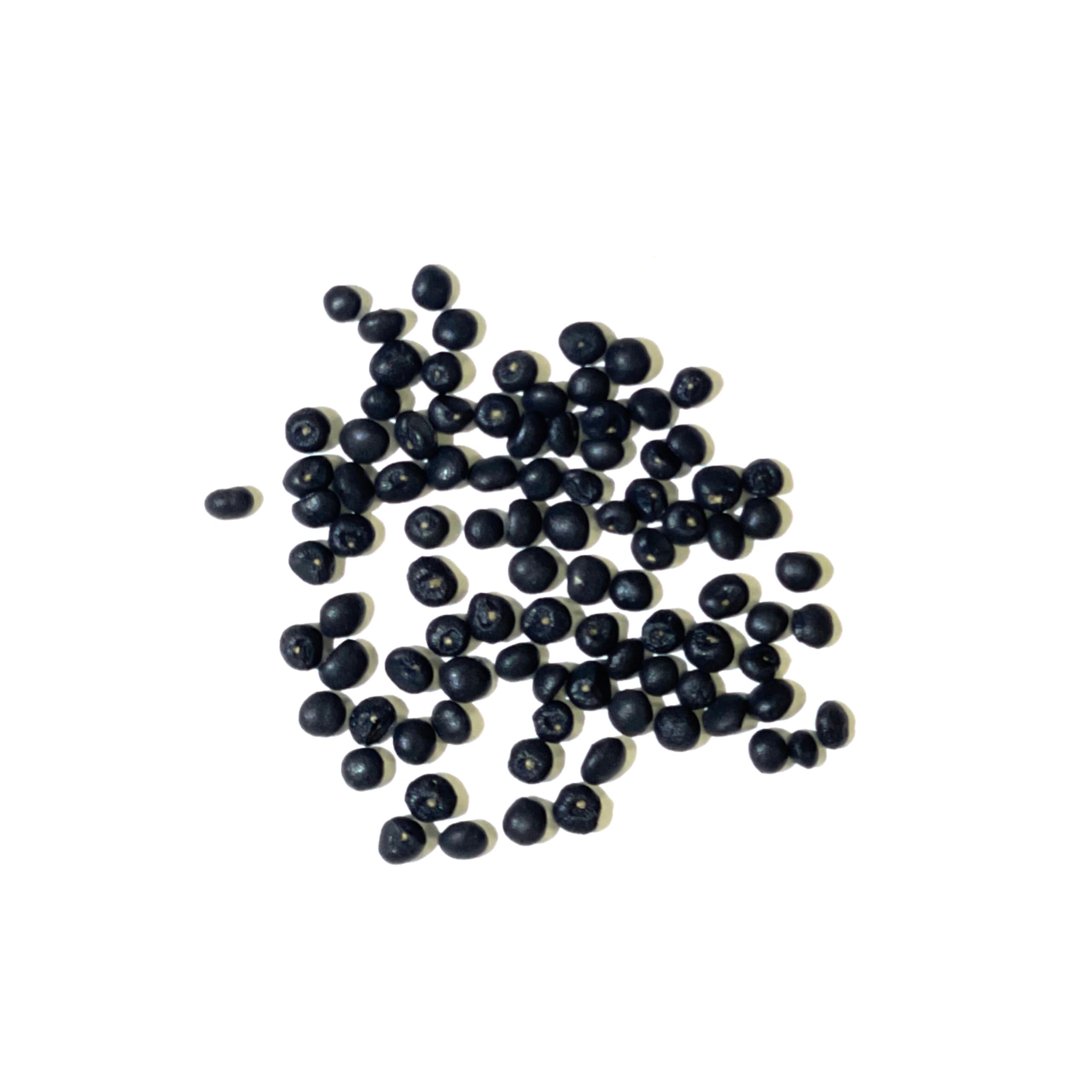 Seed Needs asparagus growing conditions on sandy loam with full sun guidance.