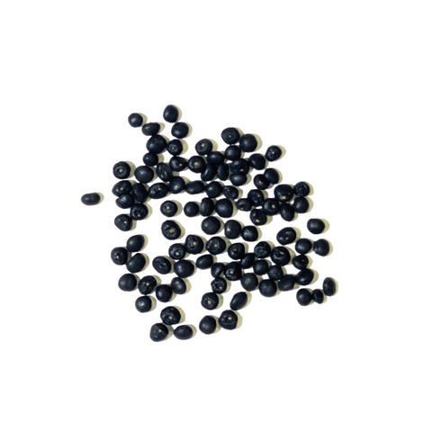Seed Needs asparagus growing conditions on sandy loam with full sun guidance.