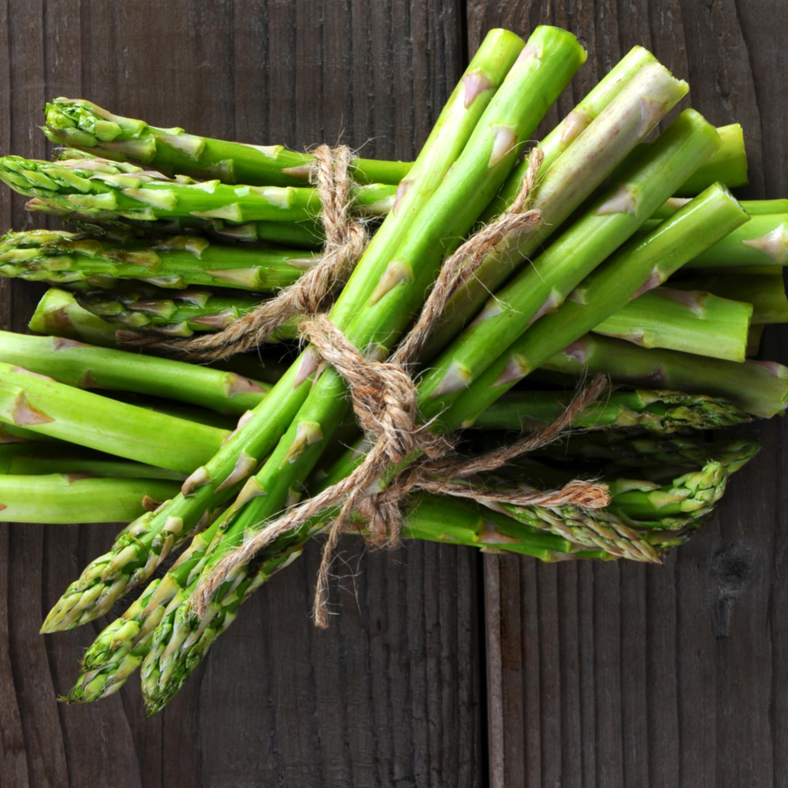 Seed Needs packaging demonstrates freshness and moisture protection for long-lasting seeds.