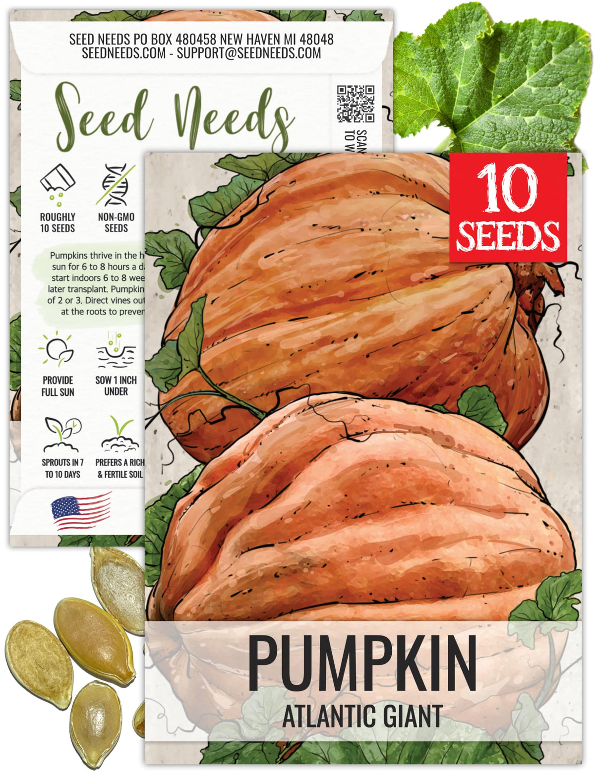 Seed Needs Atlantic Giant seed packet front art for planning your giant pumpkin project