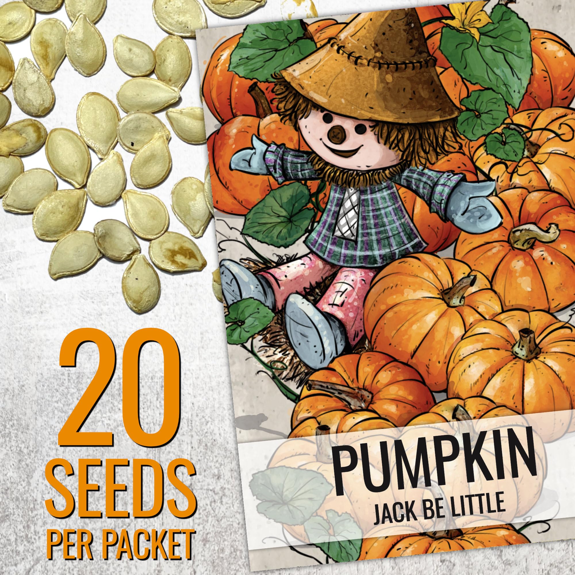 Seed Needs Baby Boo pumpkin seeds packaging ideal for decorative mini pumpkins