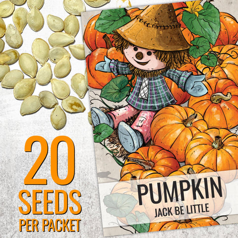 Seed Needs Baby Boo pumpkin seeds packaging ideal for decorative mini pumpkins
