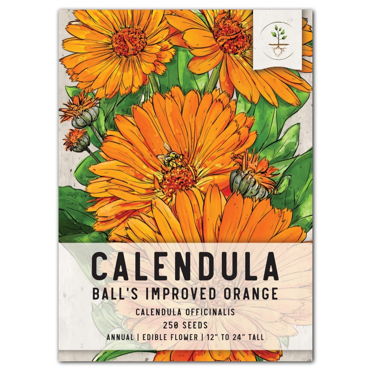 Seed Needs Ball's Improved Orange Calendula flowers brighten garden beds and attract pollinators.
