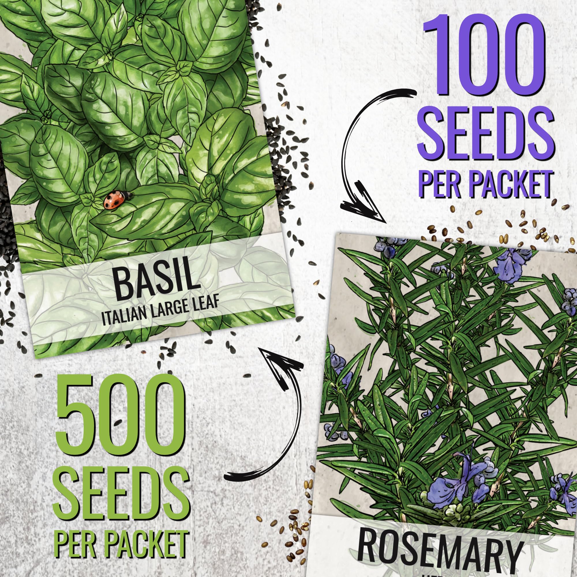 Seed Needs Genovese basil seeds packaging for fresh pesto flavors