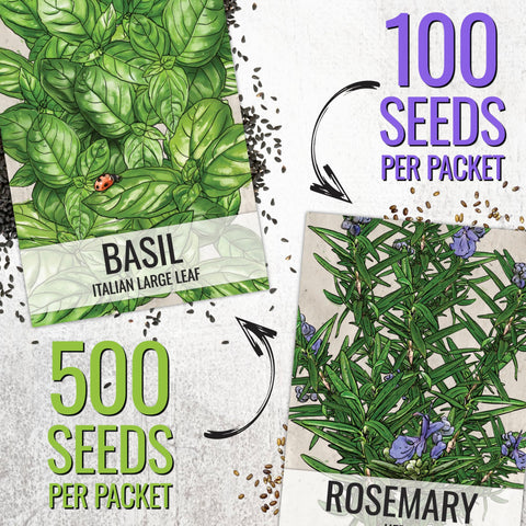 Seed Needs Genovese basil seeds packaging for fresh pesto flavors