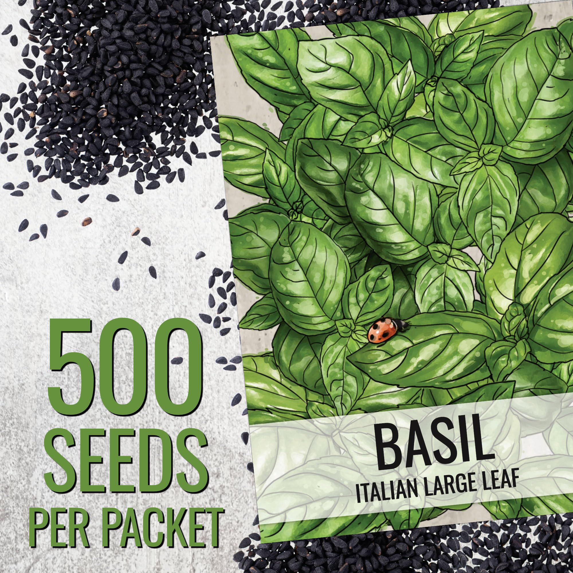 Seed Needs Basil Seeds Italian Large Leaf Packet supports easy germination and healthy growth.