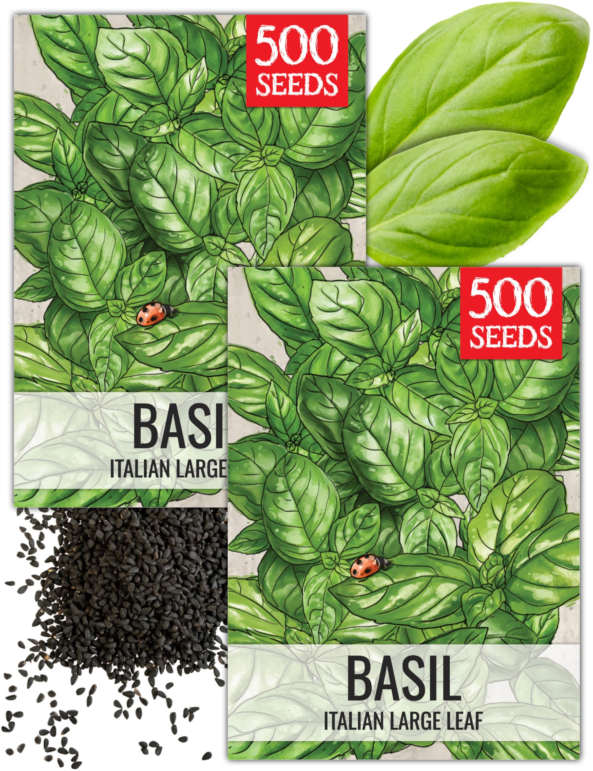 Seed Needs basil seeds packaging ready to sow for indoor herb gardens.