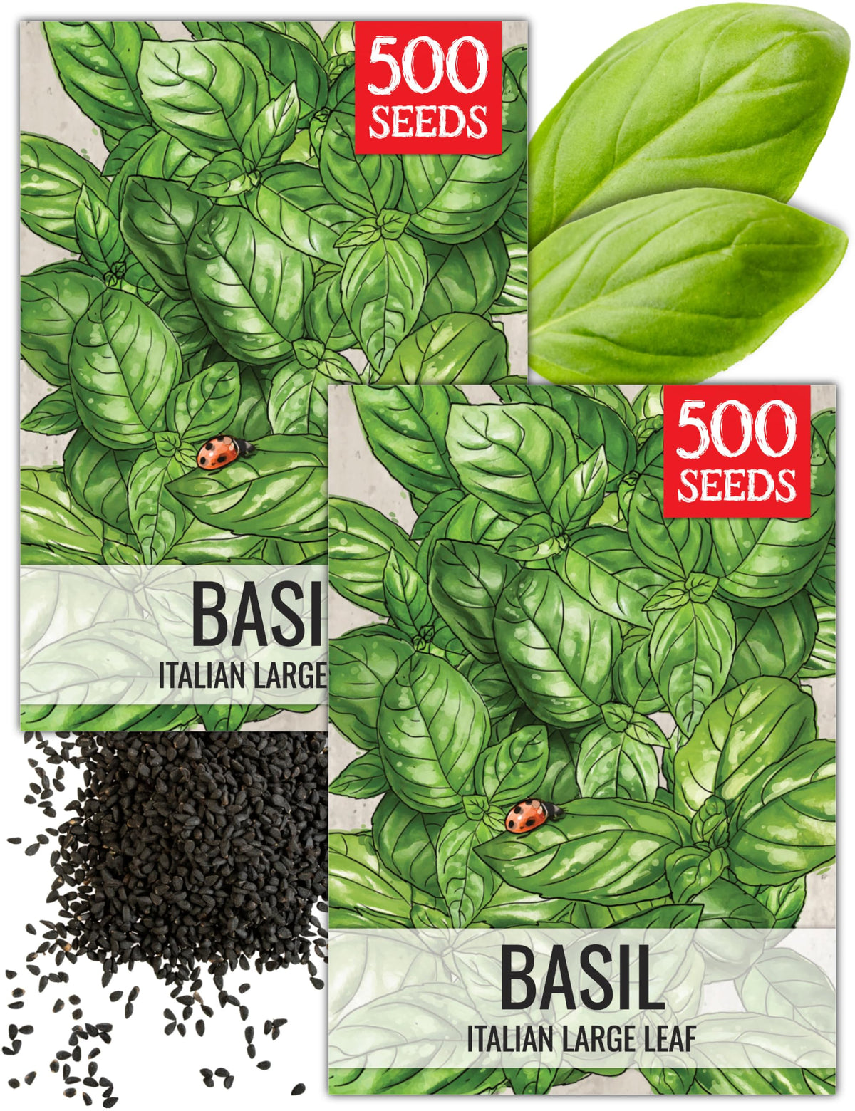 Seed Needs basil seeds packaging ready to sow for indoor herb gardens.