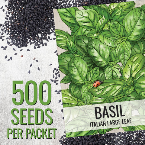 Seed Needs seed packet open with soil and tiny basil sprouts.