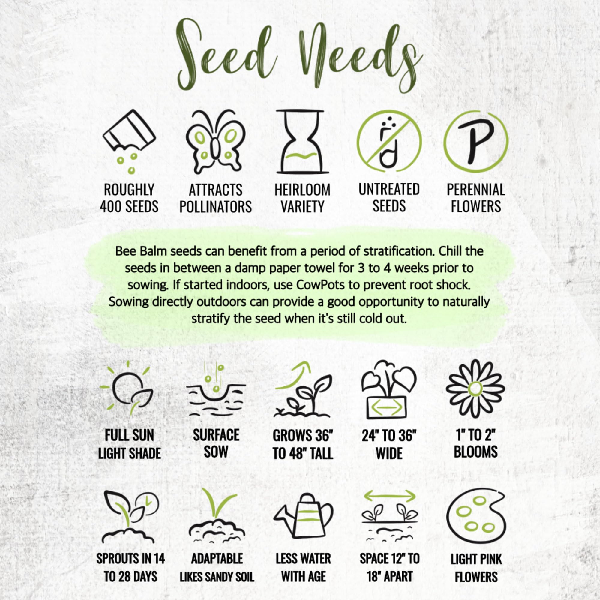 Seed Needs Bee Balm drought-tolerant garden feature