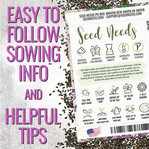 Seed Needs Bee Balm flowers close-up showcases lavender-pink blooms