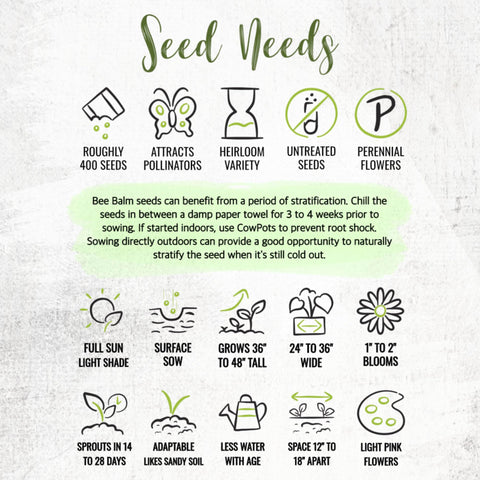 Seed Needs Bee Balm packet emphasizes freshness and sowing guidance.