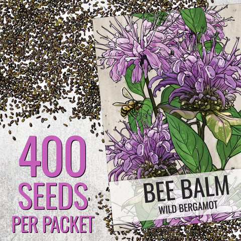Seed Needs Bee Balm seeds direct sow guide panel enables easy planting