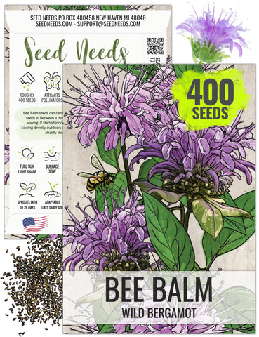 Seed Needs Bee Balm seeds ready to sow for wild bergamot blooms to attract pollinators.