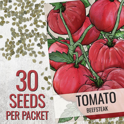Seed Needs beefsteak tomato fruit giant, heavy harvest option for sandwiches.