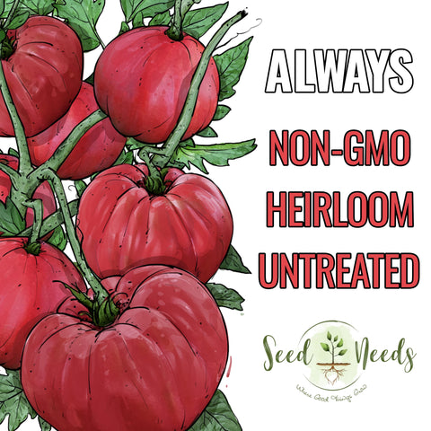Seed Needs beefsteak tomato meaty flesh, dense fruit for sauces and layering.