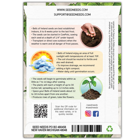 Seed Needs Bells of Ireland seeds ideal for borders, adding year-round garden structure.