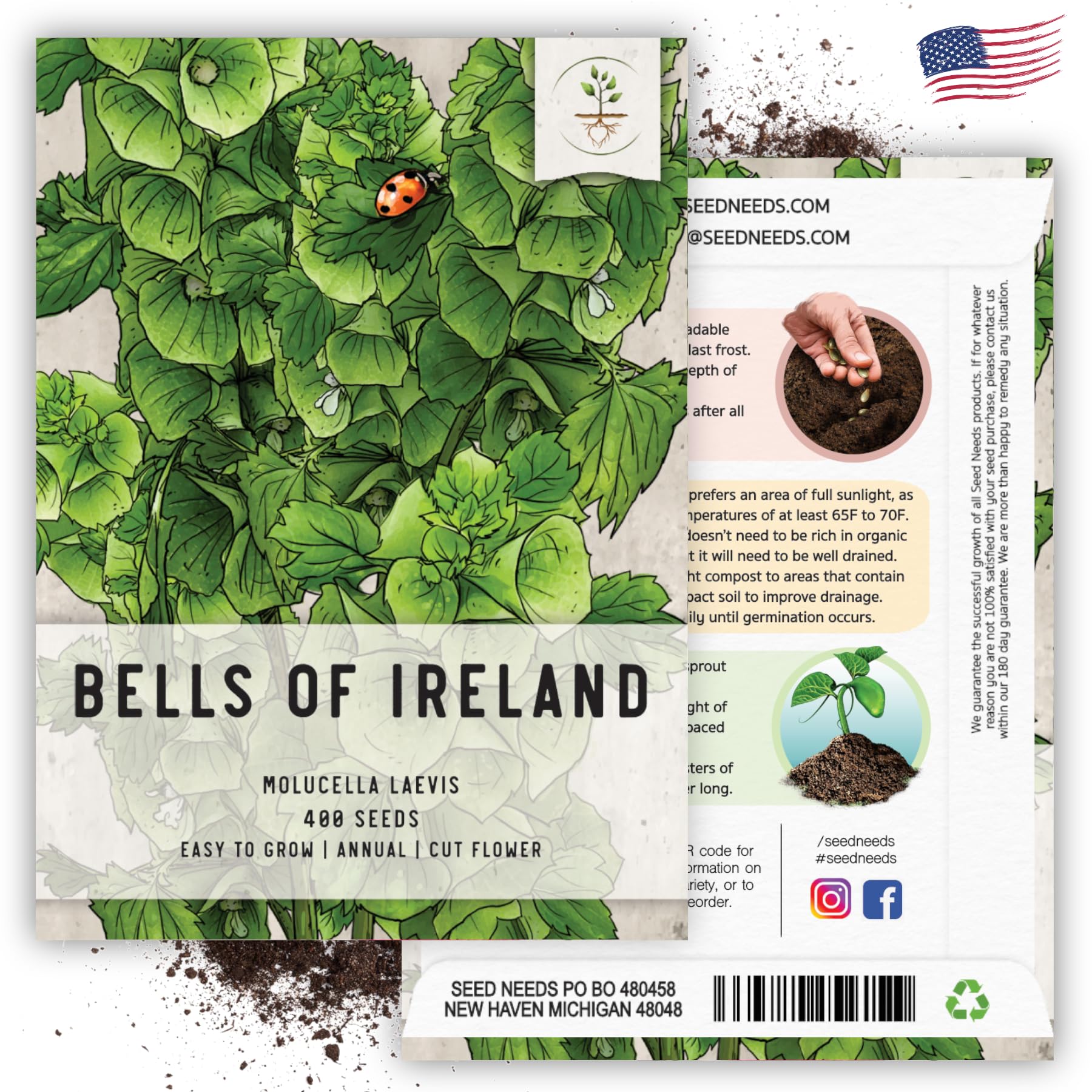Seed Needs Bells of Ireland cut-flower use in bouquets and arrangements