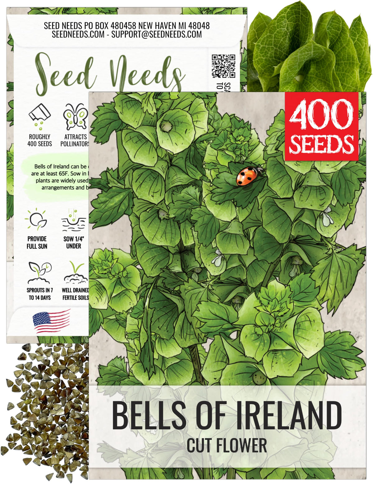 Seed Needs Bells of Ireland green bell-shaped blooms for elegant garden display and cut arrangements.